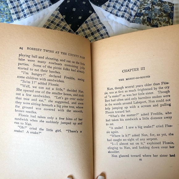 1922 VINTAGE The Bobbsey Twins At The County Fair Book Green Cover - Picture 6 of 6